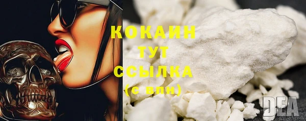 эйфоретик Каменногорск