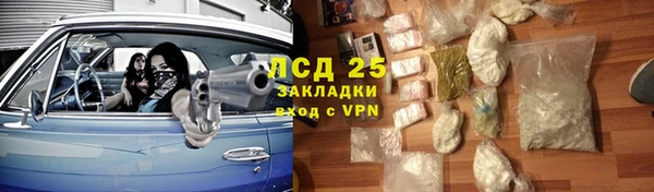 эйфоретик Каменногорск