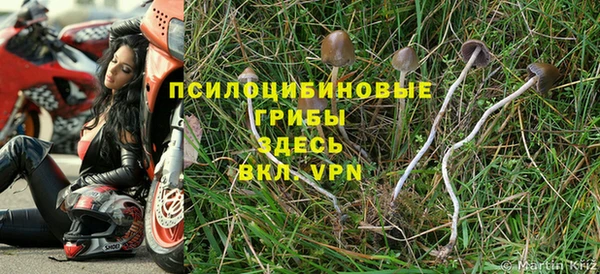 mdpv Каменка