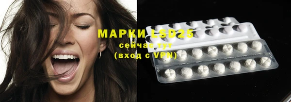 mdpv Каменка