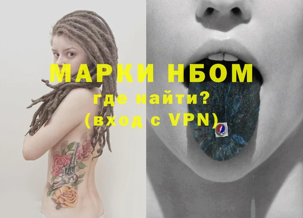 стафф Карпинск