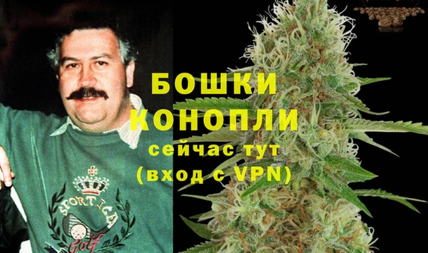 mdpv Каменка