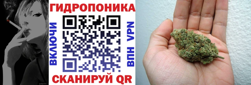 Конопля OG Kush  Купить где  Дрезна 